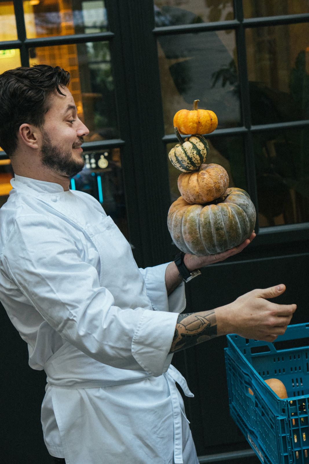 Kürbisse für das Herbstmenü